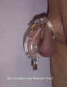 00001_r.jpg (82173 octets)
